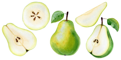 Watercolor green pear. Set of green pear pieces of different shapes isolated