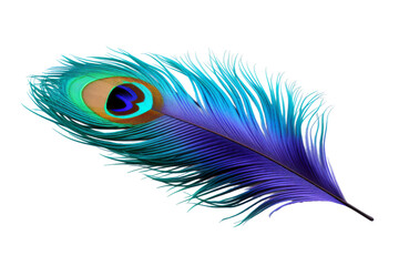 Ethereal Blue and Green Feather Dancing on a Blank Canvas. On a White or Clear Surface PNG Transparent Background.
