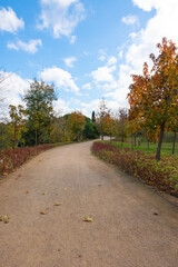Jogging or hiking trail in a park in the autumn