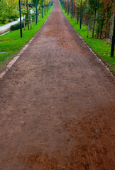 Jogging trail vertical photo. healthy lifestyle background.