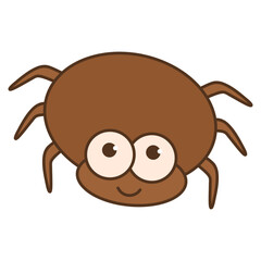 spider insect animal