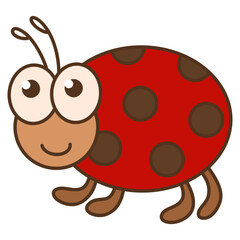 ladybug beetle animal