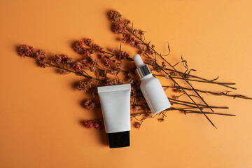 Cosmetic product in tube, bottle, lotion or serum and dried flowers on cream background. 
