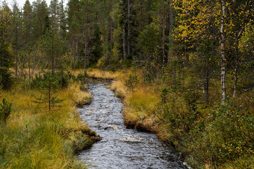 Gryvelåns Naturreservat in Schweden im Herbst