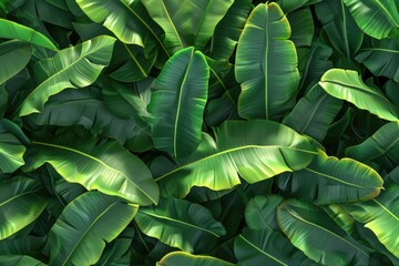 green ribbed plantain  plant  beautiful floral background  3d render