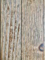 Fototapeta premium Old wood textured background, close-up