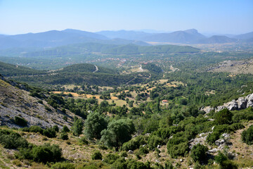 Fototapeta na wymiar valley with green trees and mountain range on background view point 
