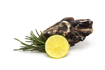 Fresh oysters with lemon slices and rosemary sprig isolated on white background. Seafood.	