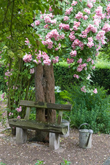 Fototapeta na wymiar Le jardin de Marguerite. Plobshem, 67, Bas Rhin, France