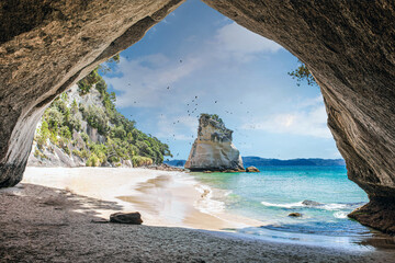 Summer Landscape with Blue Sky on the Pacific Sea Coast, Cathedral Cove, Coromandel Peninsula, North Island, New Zealand 