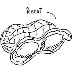 A hand-drawn illustration of a peanut food vector art  - 767828307