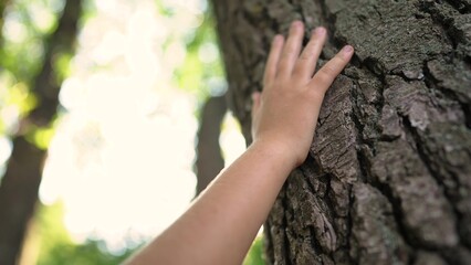 Fototapeta premium hand of a little ecologist child touches the trunk of a tree bark in a forest park. gentle touch of child on the trunk of a tree of life. Nature in caring hands: children protect the forest lifestyle