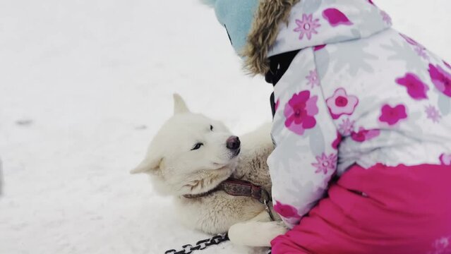 A white dog is laying on the snow next to a child in pink. The dog is wearing a collar and leash