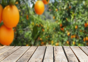Wooden table top on blur orange garden background in daytime. For montage product display or design...