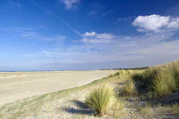 The dunes landscape in the Netherlands