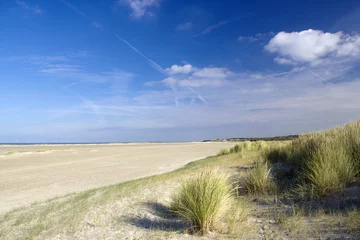 Papier Peint photo Mer du Nord, Pays-Bas The dunes landscape in the Netherlands
