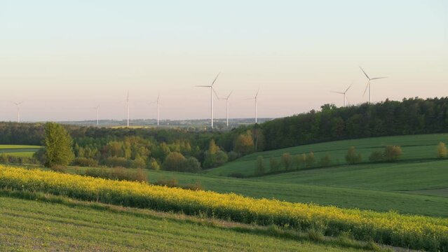 Wind power plants over rapeseed fields and forest rotating in the wind.