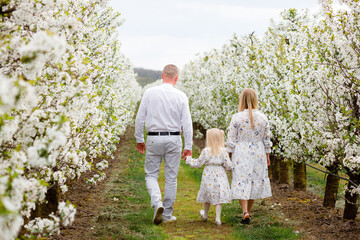 Vinnytsia, Ukraine. May 5, 2023: A young Ukrainian family walks hand in hand in a cherry blossom garden