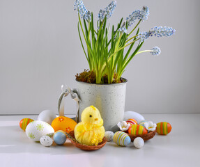 Yellow chick in the nest, colored easter eggs and spring light blue flowers. Happy Easter holiday concept. Easter still life