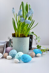 Easter eggs and light blue muscari flowers in cup on a white table. Easter still life - 767840330
