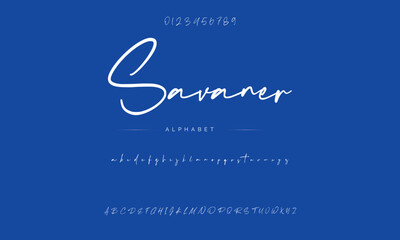 Lettering signature font isolated on background. brus style alphabet. Vector logo letters.