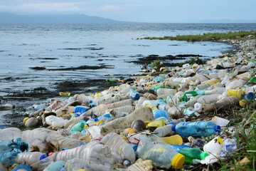 Fototapeta na wymiar A beach littered with plastic trash, polluting the ocean and harming marine life.