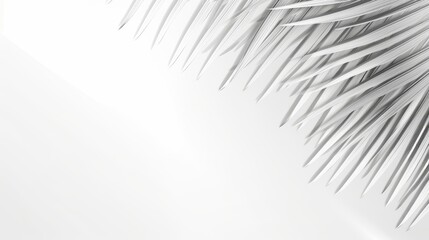 Palm branches with sunny shadows, double exposure on white backdrop for artistic effect
