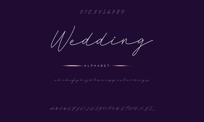 Lettering signature font isolated on background. brus style alphabet. Vector logo letters.