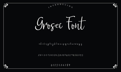 Lettering signature font isolated on background. brus style alphabet. Vector logo letters.