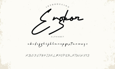 Lettering signature font isolated on background. brus style alphabet. Vector logo letters.