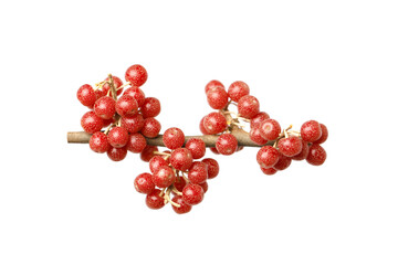 Fresh Buffaloberry or Shepherdia berries isolated on white background - 767846705