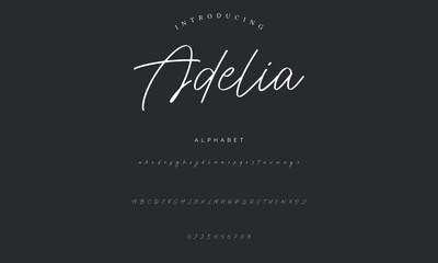 signature Font Calligraphy Logotype Script Brush Font Type Font lettering handwritten