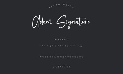 signature Font Calligraphy Logotype Script Brush Font Type Font lettering handwritten