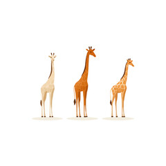 Giraffe | Minimalist and Simple set of 3 Line White background