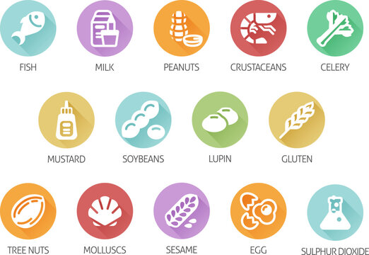 Food allergen allergy icons. include big 8 FDA Major Allergens and 14 food allergies from the EU Food Information for Consumers Regulation EFSA European Food Safety Authority Annex II