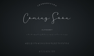 signature Font Calligraphy Logotype Script Brush Font Type Font lettering handwritten