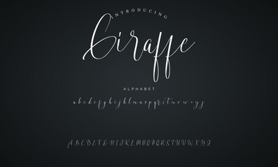 signature Font Calligraphy Logotype Script Brush Font Type Font lettering handwritten