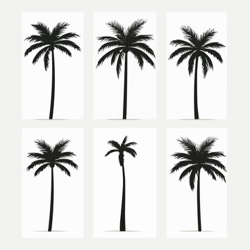 Palm tree | Minimalist and Simple set of 3 Line White background -