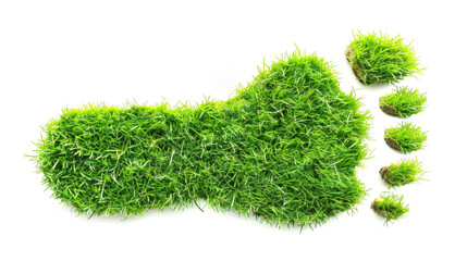 Human envoironmental footprint made of grass / turf, carbon footprint concept cut out and isolated on a white background