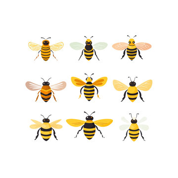 Honey bee set. Cartoon flying insects, winged honeybee, cute striped bumblebee insects flat vector illustration collection