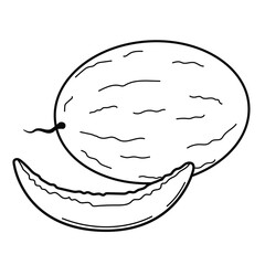 Fruits, melon. Outline illustration on white background, design element
