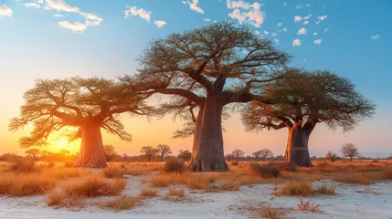 Foto op Canvas Towering baobab trees stand sentinel over the African savanna, their ancient branches reaching skyward as if to touch the heavens, while wildlife congregates at their base, seeking © Наталья Евтехова