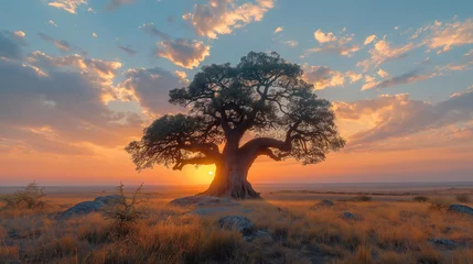 Tischdecke Towering baobab trees stand sentinel over the African savanna, their ancient branches reaching skyward as if to touch the heavens, while wildlife congregates at their base, seeking © Наталья Евтехова