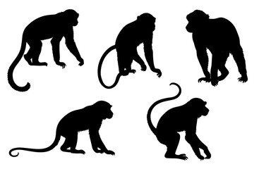 set of a monkey silhouette vector illustration