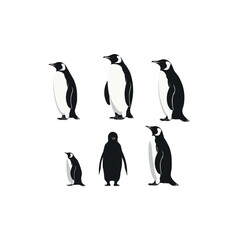 collection of penguin silhouette vecto