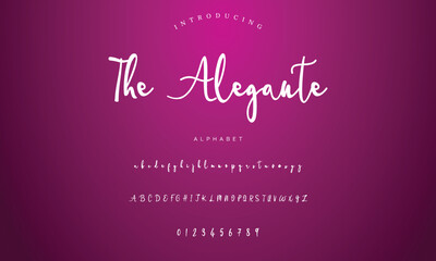 signature Font Calligraphy Logotype Script Brush Font Type Font lettering handwritten