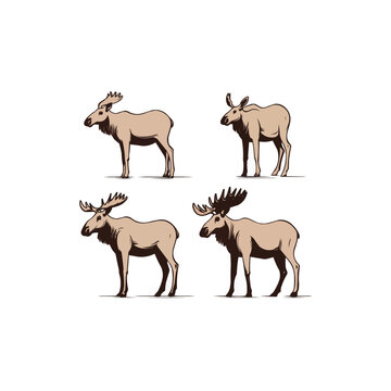 Moose | Minimalist and Simple set of 3 Line White background