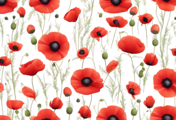 pattern poppies corner red Vector ladybug Poppy Frame Isolated Design Flower Background Summer Banner Nature Vintage Art Illustration Spring Love Birthday Leaf White Floral