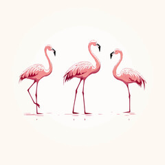 Flamingo | Minimalist and Simple set of 3 Line White background