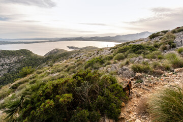 Fototapeta na wymiar amazing landscape of Formentor, Mallorca in Spain